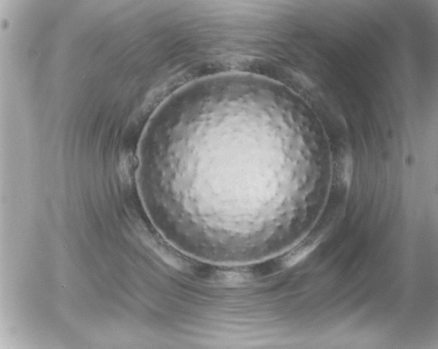 X0000055990286200508191306