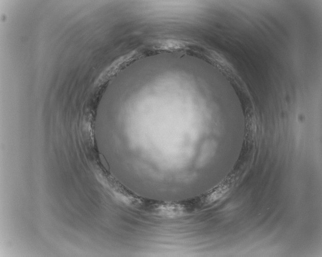 X0000055990415200508191303
