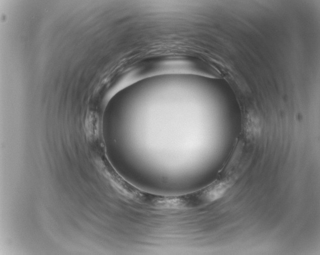 X0000055990428200508191303