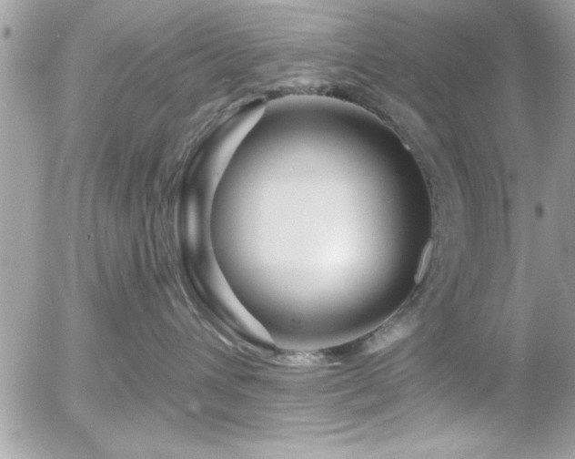 X0000055990432200508191303
