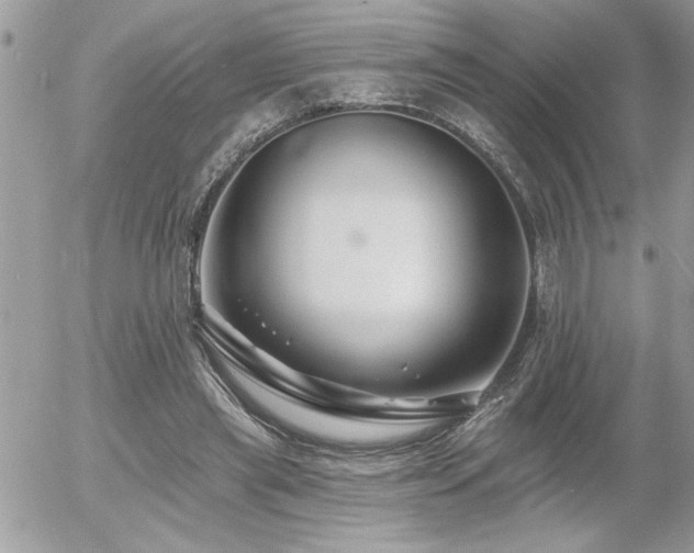 X0000055990445200508191302