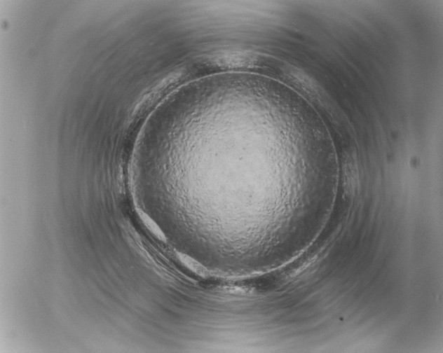 X0000055990453200508191302