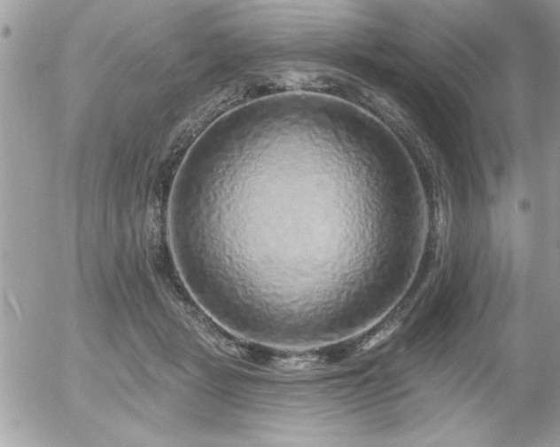 X0000055990461200508191303