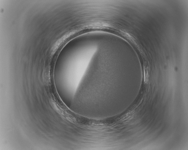 X0000055990531200508191301