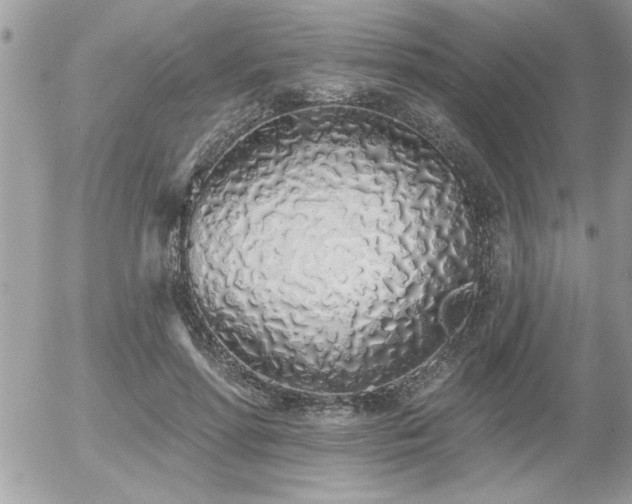 X0000055990598200508191300