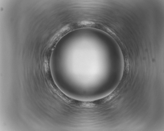 X0000055990617200508191300