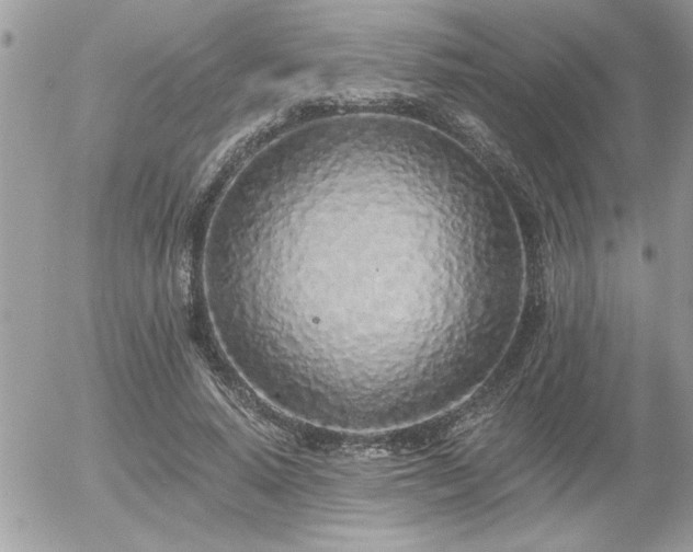 X0000055990640200508191259