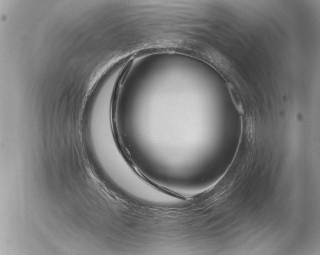 X0000055990676200508191259