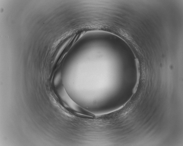 X0000055990681200508191259