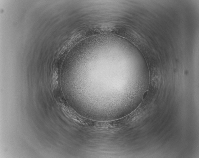 X0000055990866200508191256