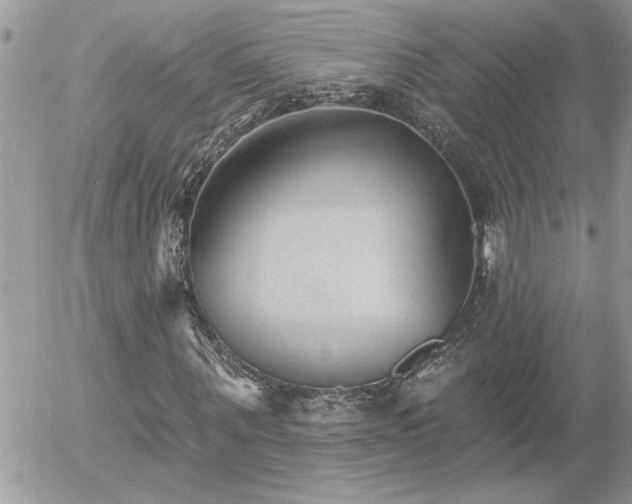 X0000055990867200508191256