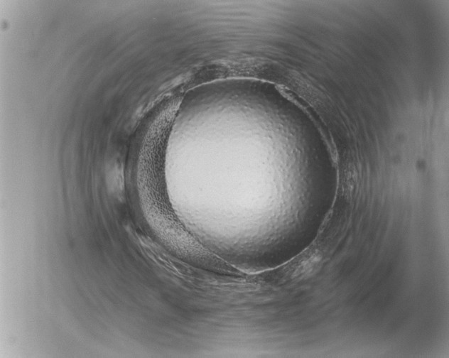 X0000055991010200508191252