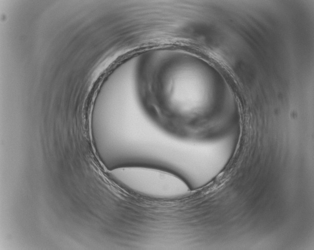X0000055991023200508191253