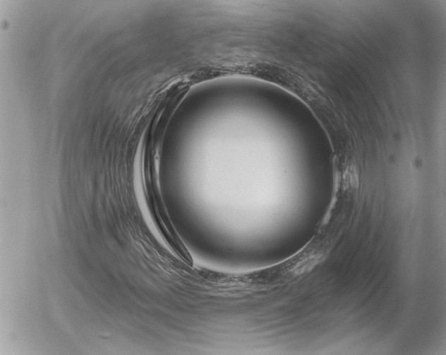 X0000055991156200508191251