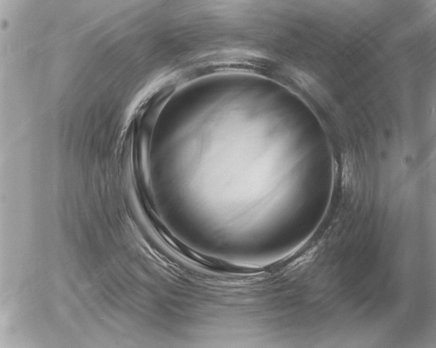 X0000055991164200508191251