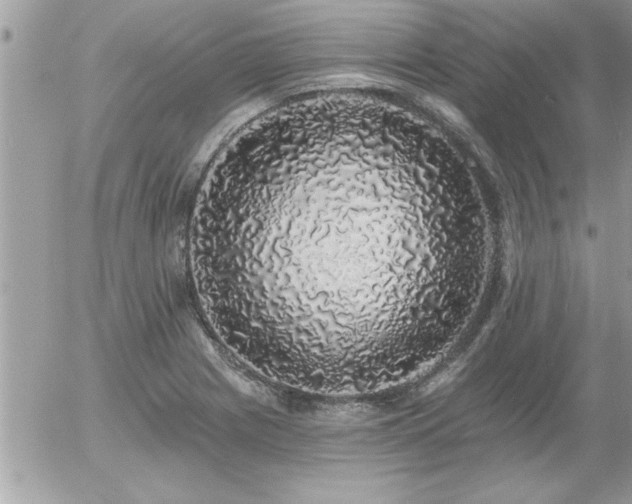 X0000055991225200508191250