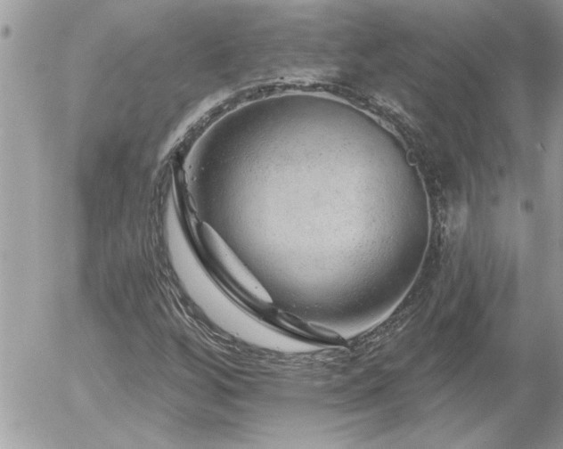 X0000055991256200508191249