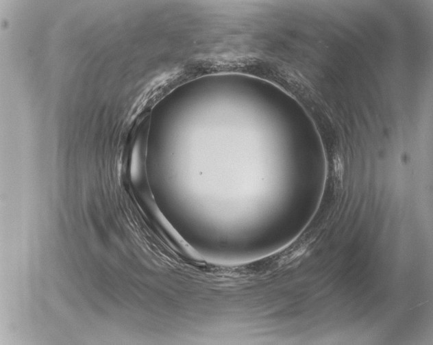 X0000055991300200508191248