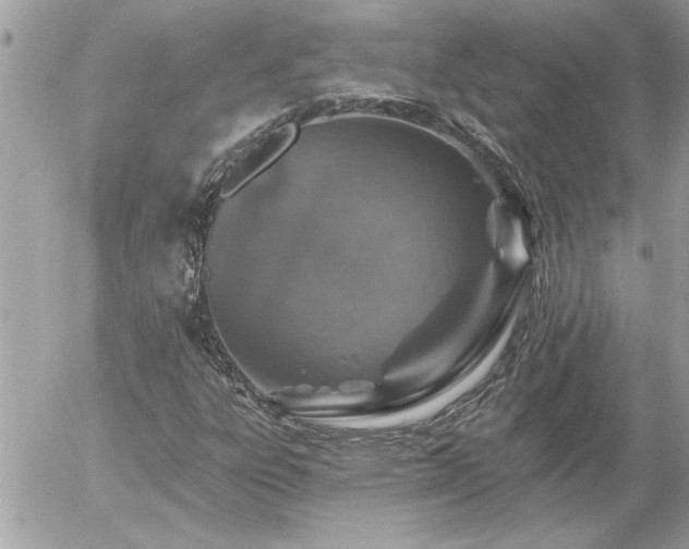 X0000055991303200508191248