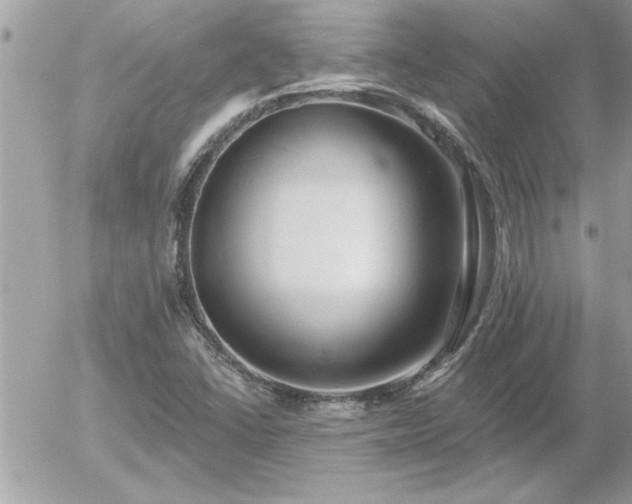 X0000055991406200508191246