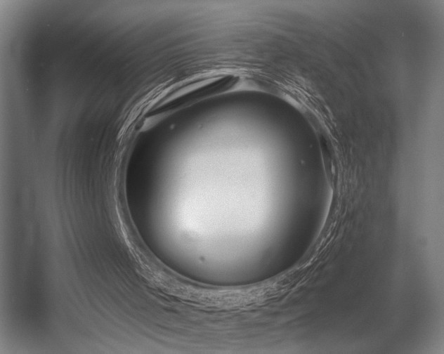 X0000055990001200508221309