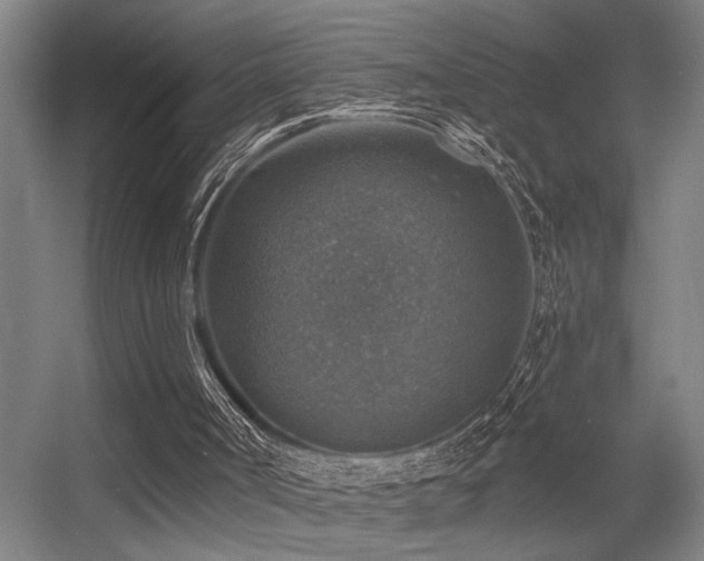 X0000055990002200508221309