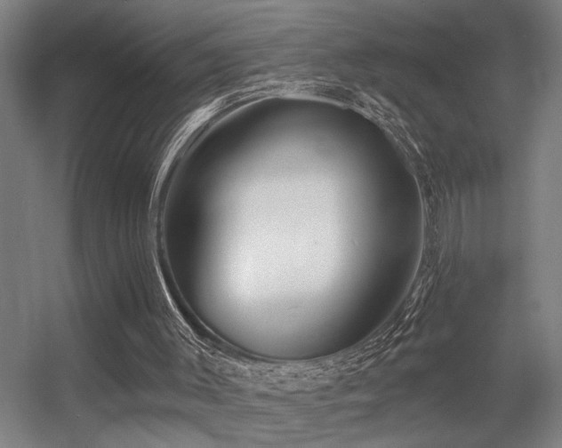 X0000055990003200508221309