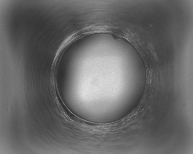 X0000055990004200508221309