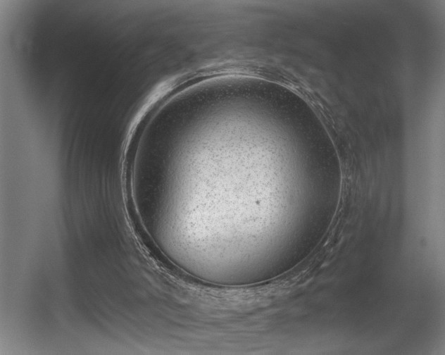 X0000055990006200508221309