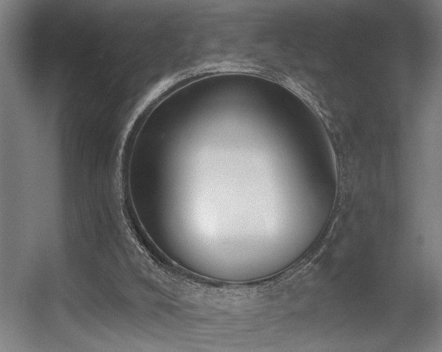 X0000055990008200508221309