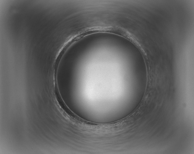 X0000055990011200508221308