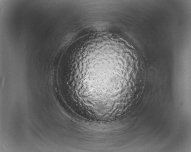 X0000055990018200508221308