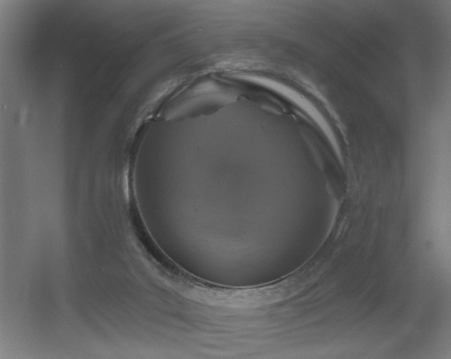 X0000055990019200508221308