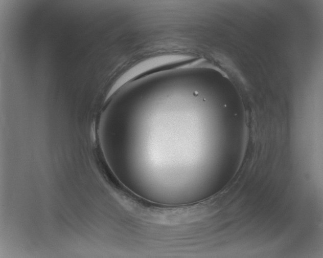 X0000055990021200508221308
