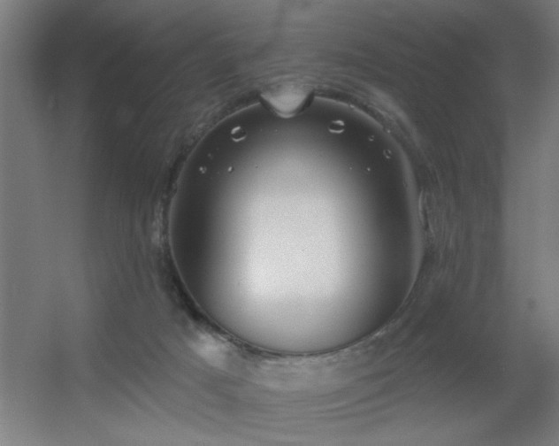 X0000055990025200508221308