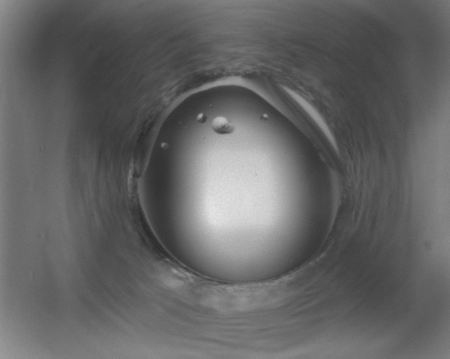 X0000055990033200508221308