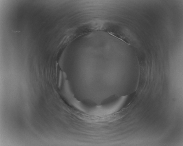 X0000055990035200508221308