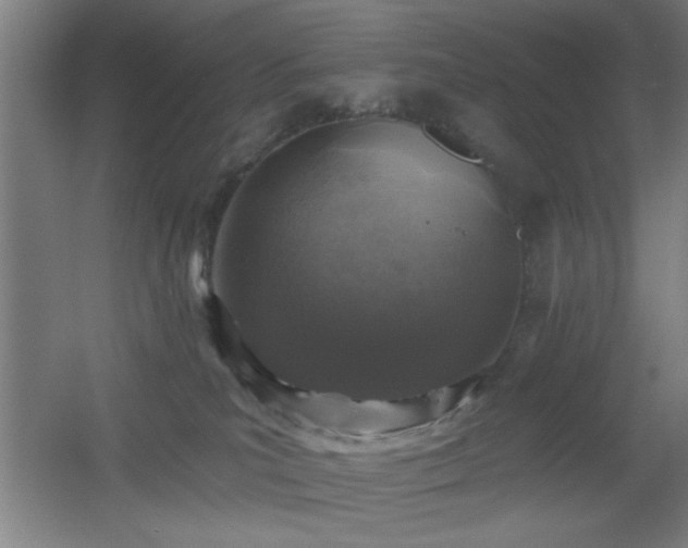 X0000055990039200508221308