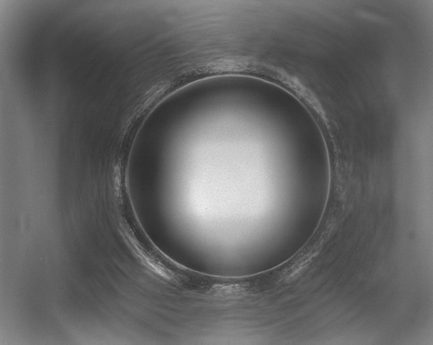 X0000055990057200508221307