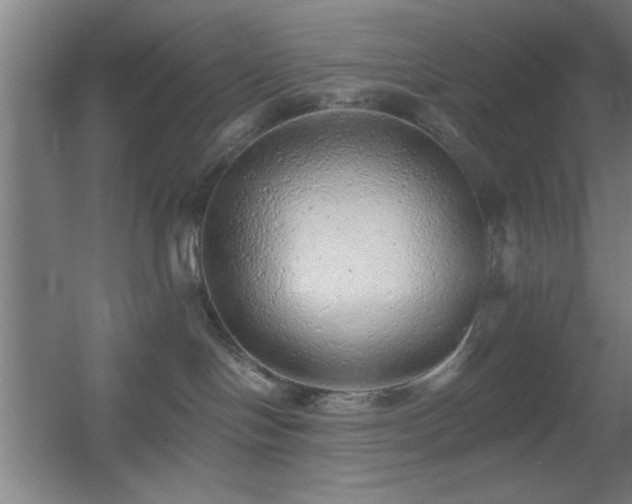X0000055990094200508221308