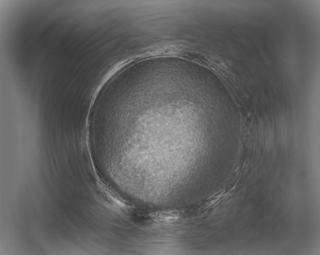 X0000055990100200508221307