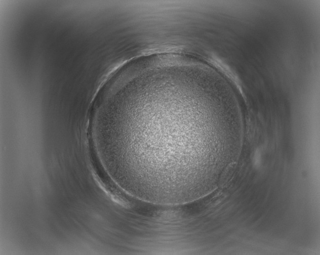 X0000055990107200508221307
