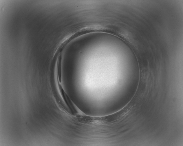 X0000055990111200508221307