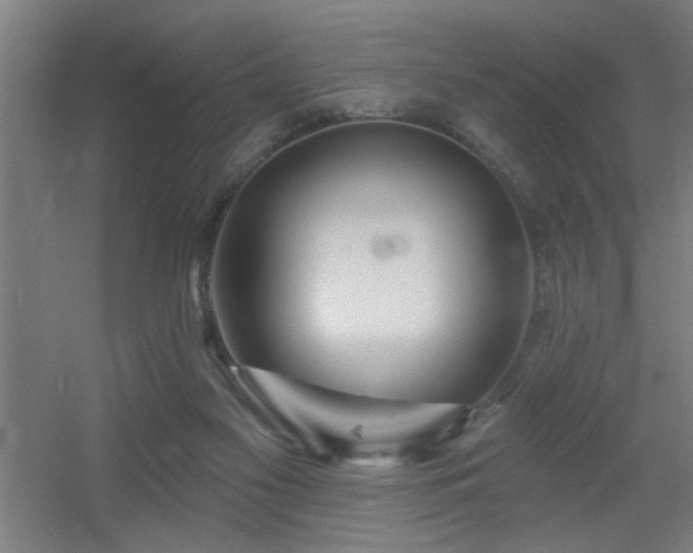 X0000055990117200508221307