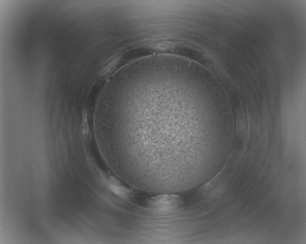 X0000055990128200508221306