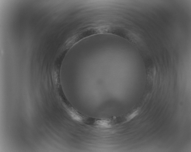 X0000055990139200508221306