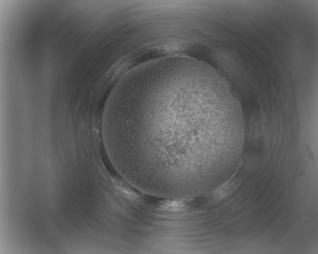 X0000055990140200508221306
