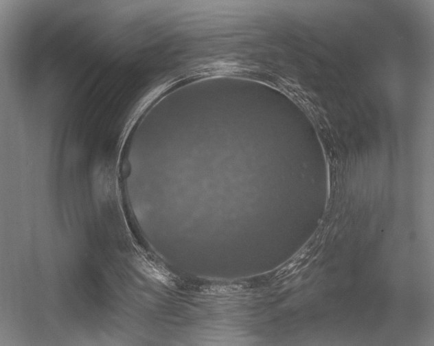 X0000055990147200508221305