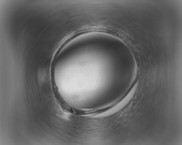 X0000055990148200508221305