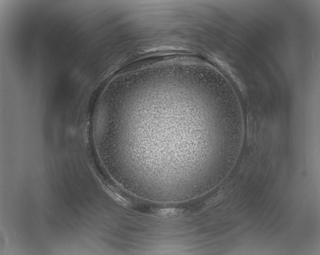 X0000055990153200508221306